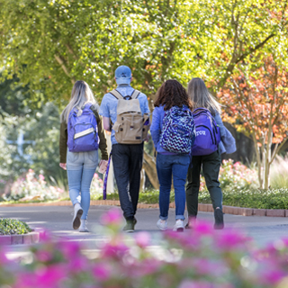 Four students walk past campus landscaping Four students walk past campus landscaping